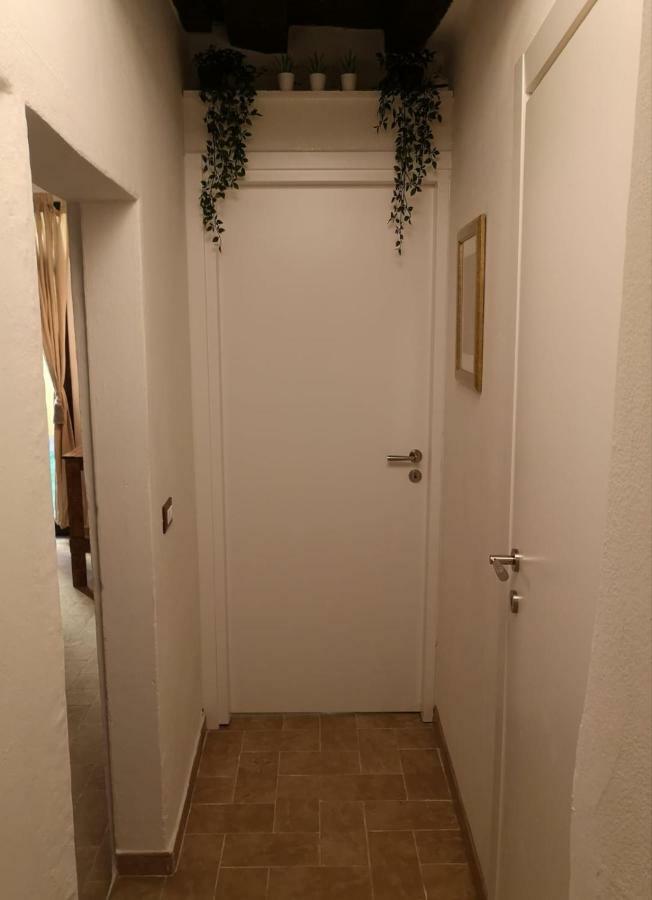 San Lorenzo Luxury Apartment Firenze Eksteriør billede